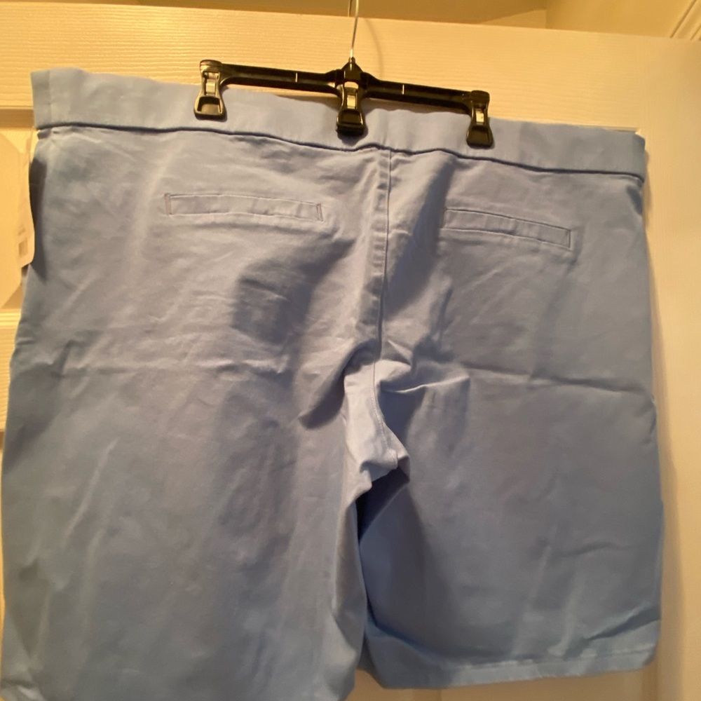 Chic Sky Blue Flat Front Men's Shorts
